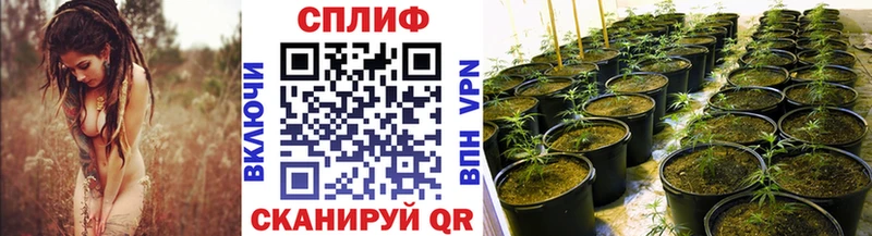 Сколько стоит Ковров Галлюциногенные грибы Гашиш Амфетамин Каннабис СОЛЬ