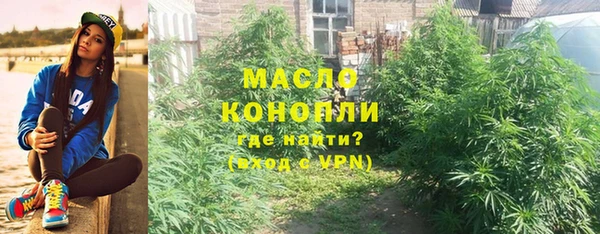 гашик Надым