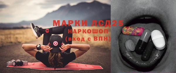 гашик Надым