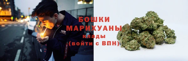 гашик Надым