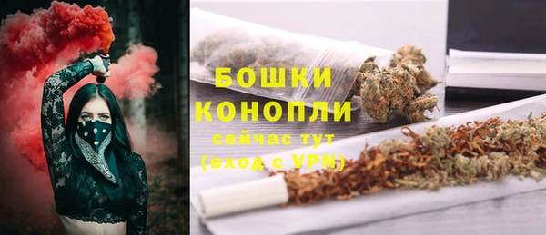 гашик Надым