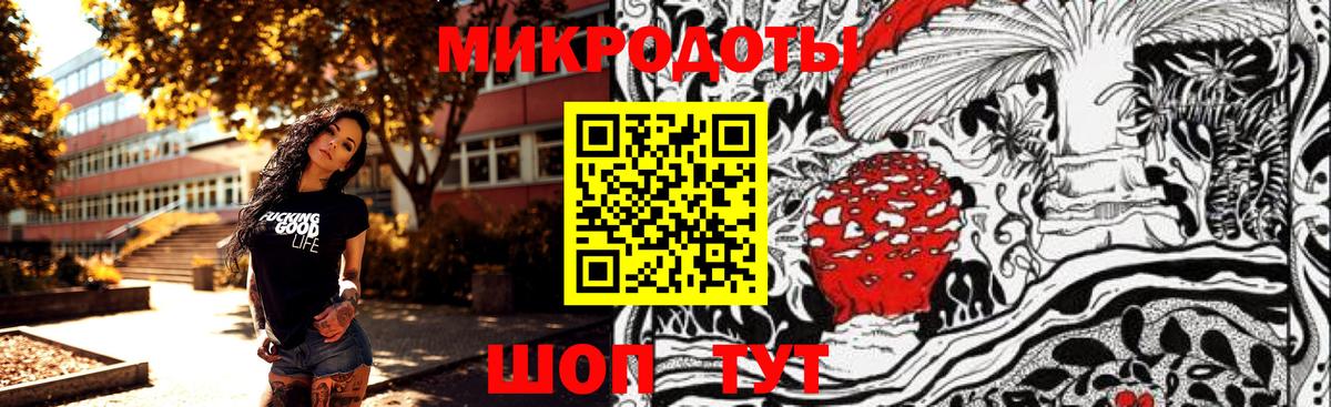 Ковров  Псилоцибиновые грибы Psilocybe  Вход с VPN 