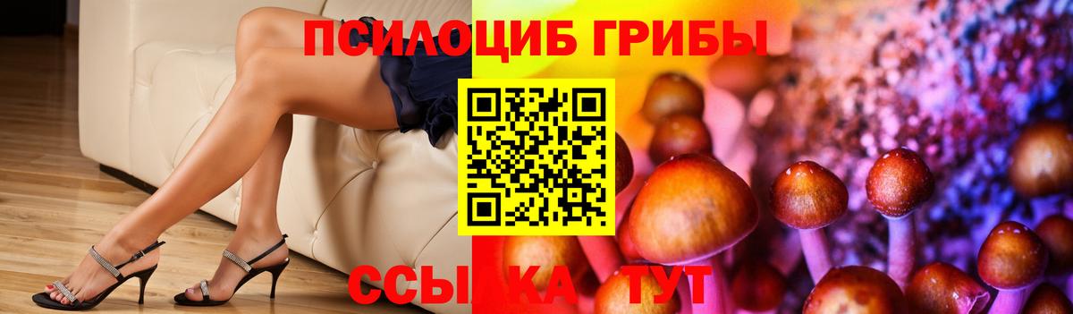 Псилоцибиновые грибы GOLDEN TEACHER Ковров